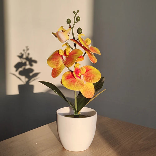bonsai mariposa
