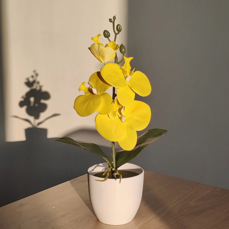 bonsai mariposa amarillo