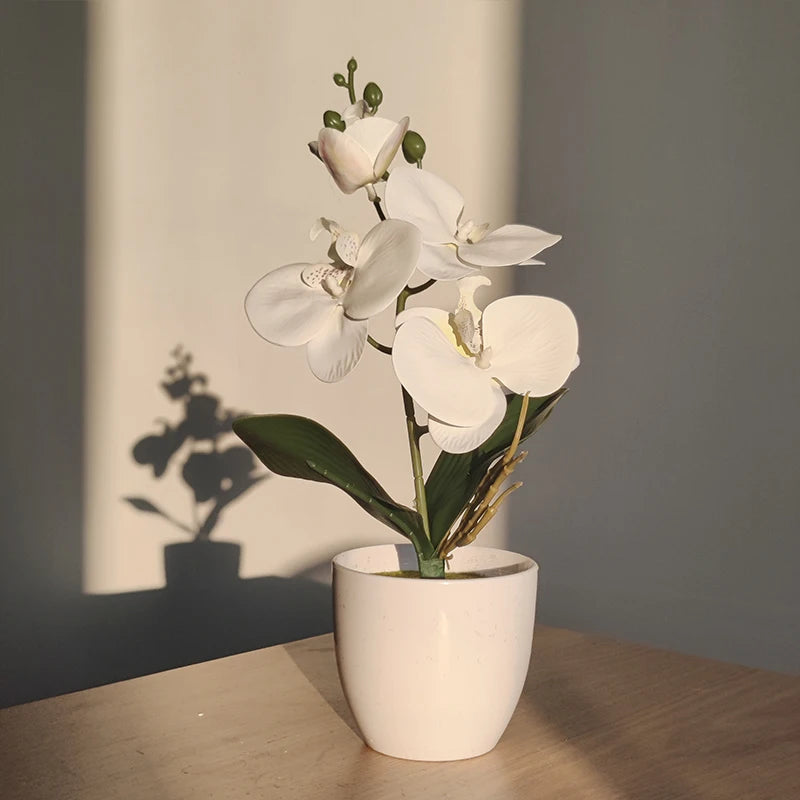 bonsai mariposa blanco